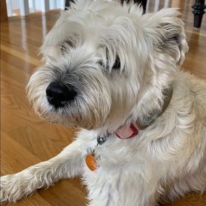 Meet your Posher, Gabriella